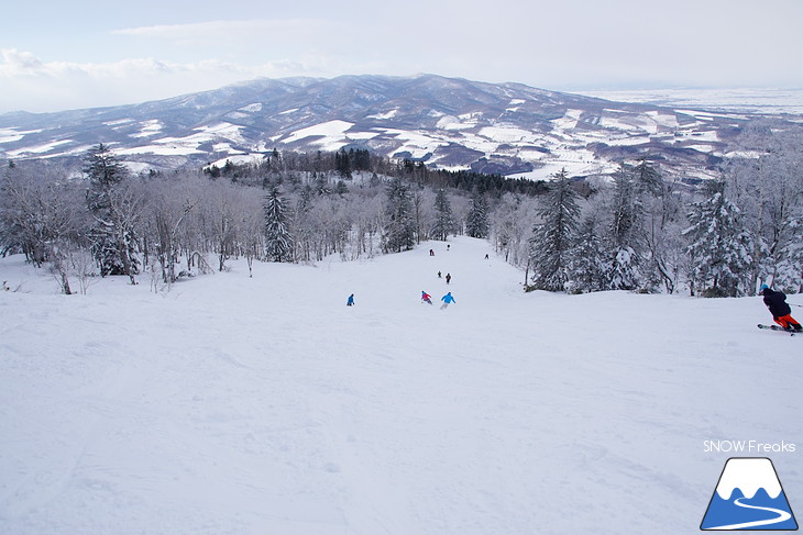 カムイスキーリンクス　-11℃。冬空からの素敵なクリスマスプレゼント♪